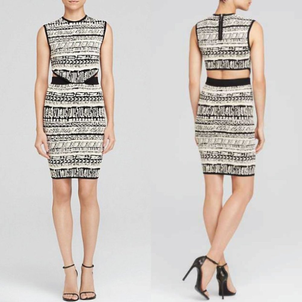 RONNY KOBO Leasha Bodycon Dress